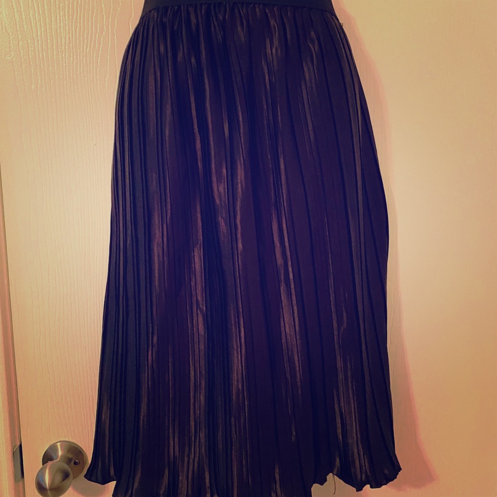 Black silk pleated skirt